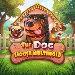 The Dog House Multihold gra w Snatch Casino dla graczy z Polski The Dog House Multihold gra w Snatch Casino dla graczy z Polski